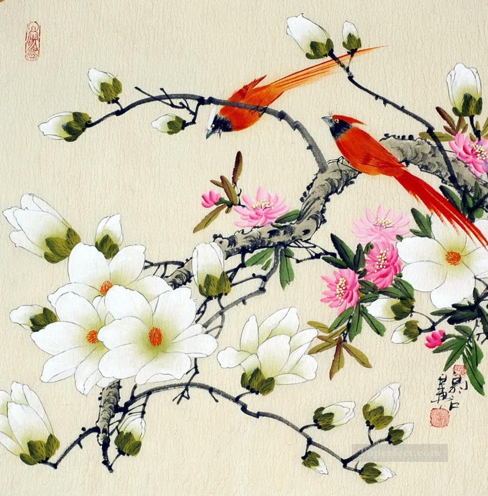 Chinese bird flower parrot Oil Paintings